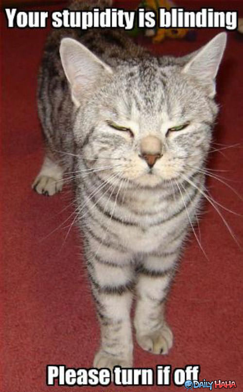 Its Blinding funny picture