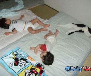 Nap Time funny picture