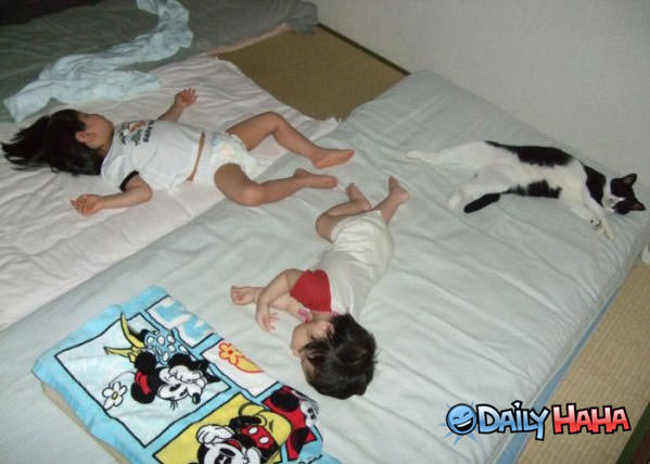 Nap Time funny picture