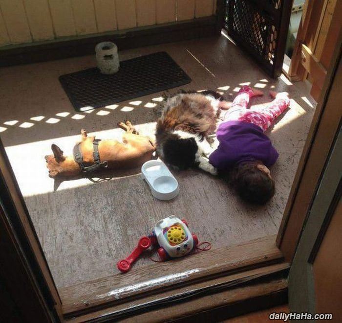 its nap time funny picture