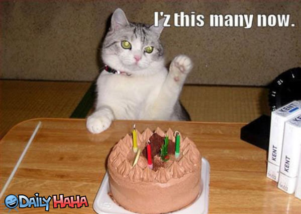 I IZ This Many funny picture