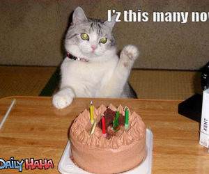 I IZ This Many funny picture