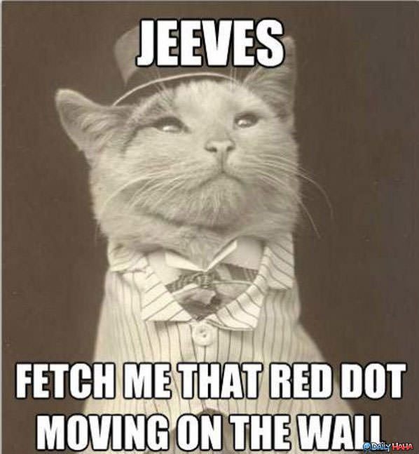 Jeeves funny picture