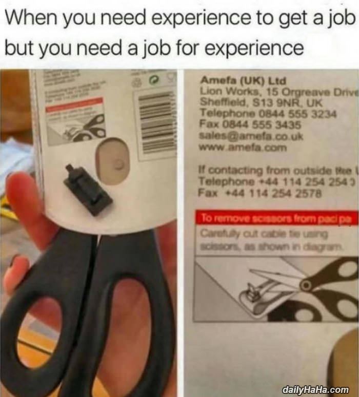job experience funny picture