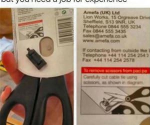 job experience funny picture