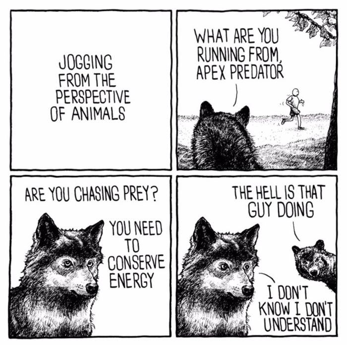 jogging from an animals perspective funny picture
