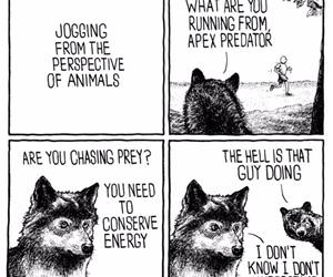 jogging from an animals perspective funny picture