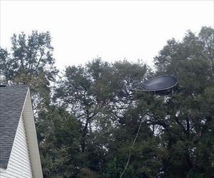 jump up and jump around