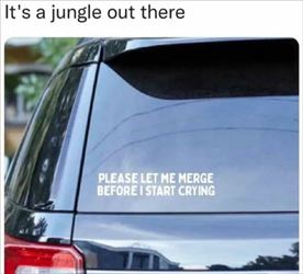 jungle out there ... 2