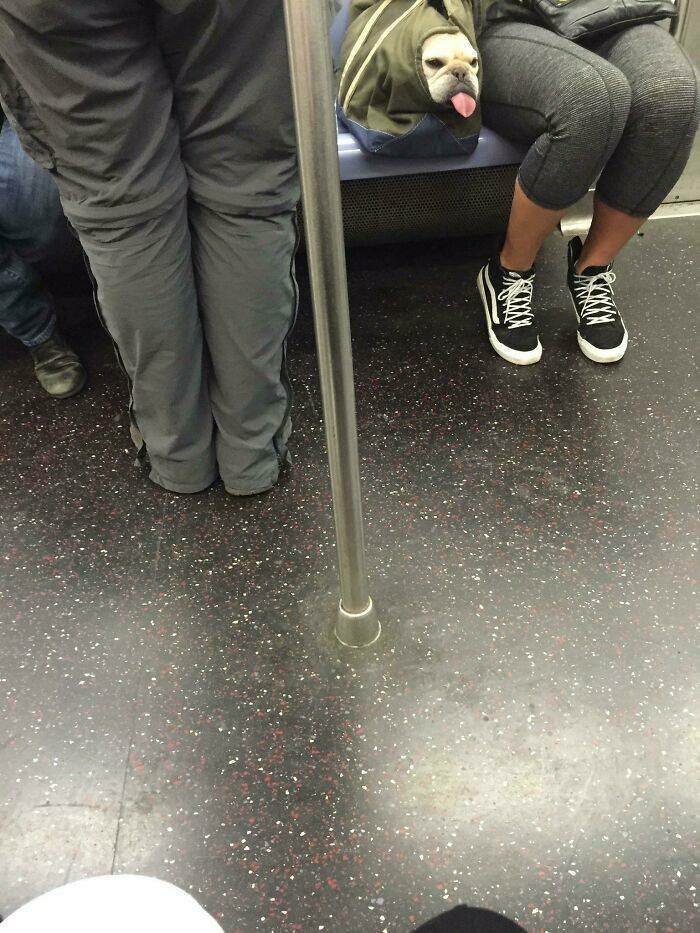 just chillin in my bag