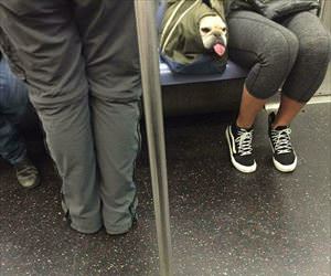 just chillin in my bag