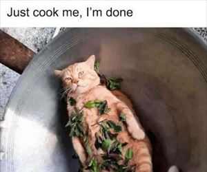 just cook me