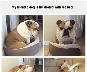 just frustrated with my bed