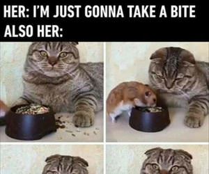 just gunna take a bite