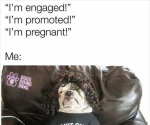 just one more episode ... 2