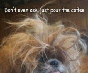 just pour the coffee