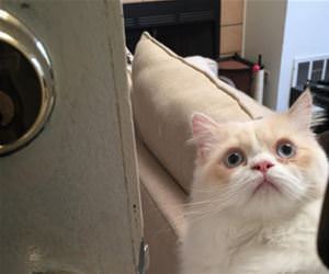 just holding the door open funny picture