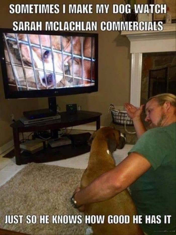 just how good he has it funny picture