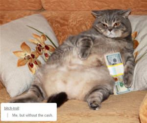 just like me funny picture