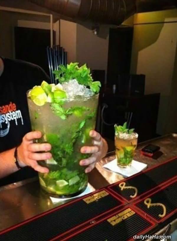 just one drink today funny picture