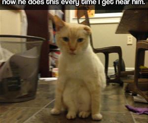 just one time funny picture