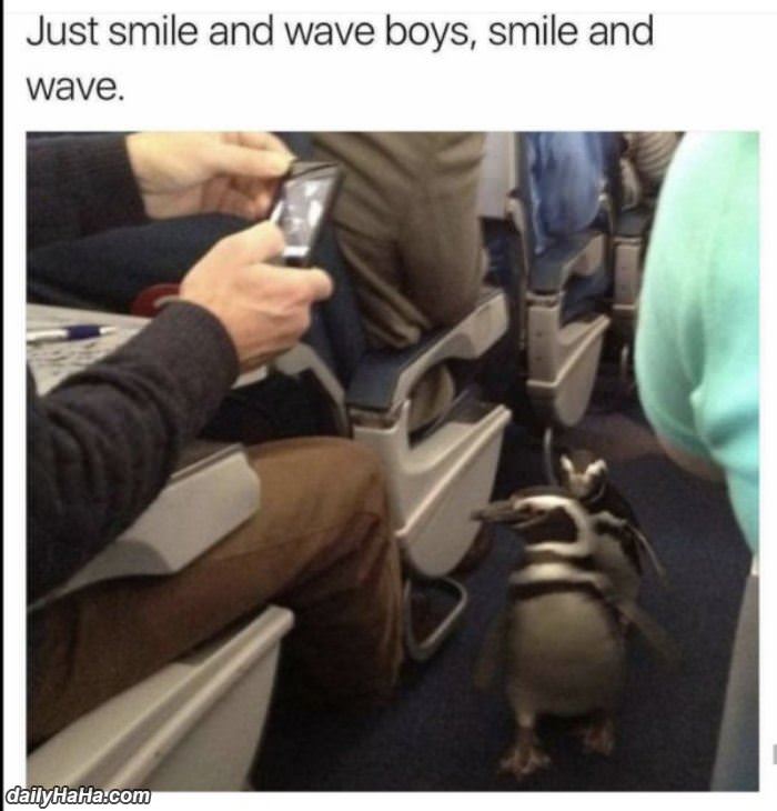 just smile and wave boys funny picture