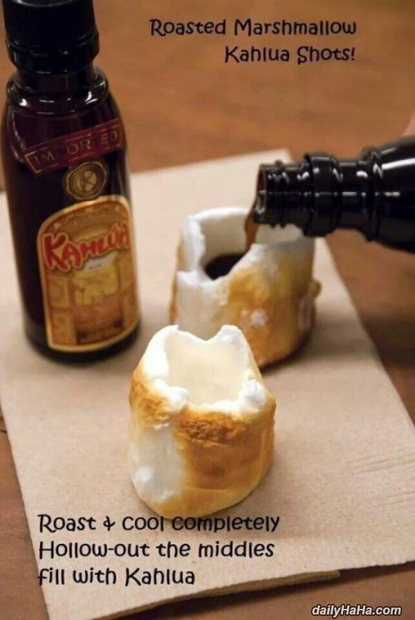 kahlua shots funny picture