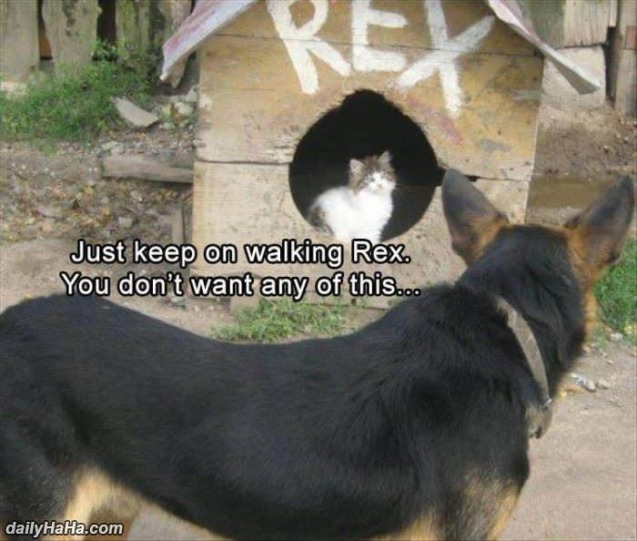 keep walking rex funny picture