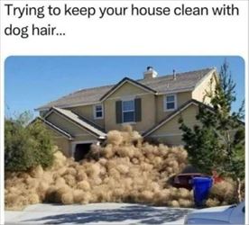keeping the house clean