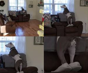 keeping my feet warm funny picture