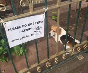 kenny hats the new sign funny picture