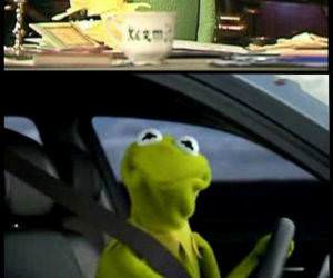 Kermits Face funny picture