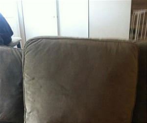 kids that suck at hide and seek funny picture