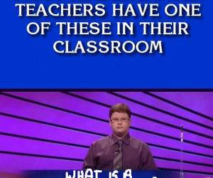 kindergarten teachers funny picture