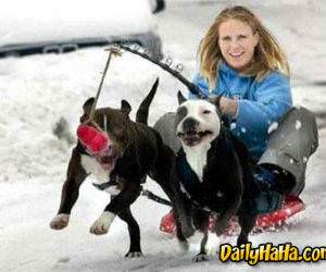 Looks Like Kirsten Dunce