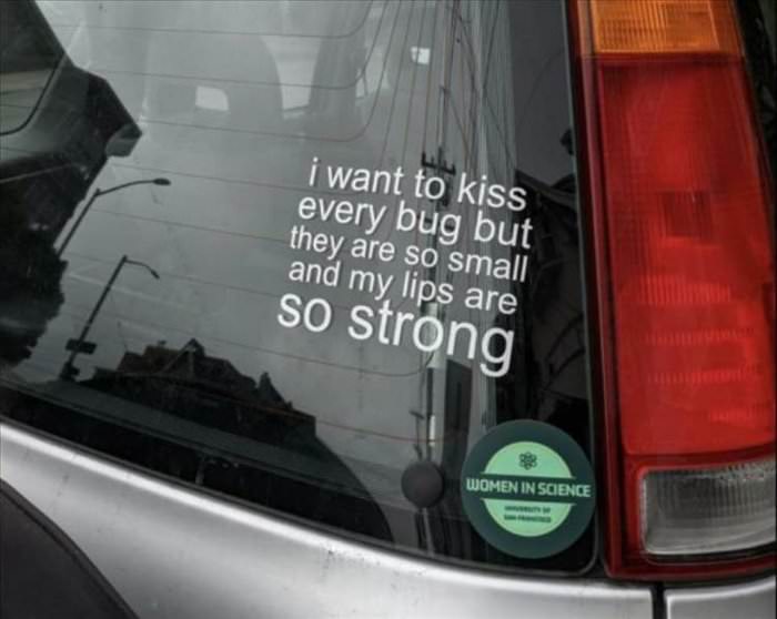 kiss every bug
