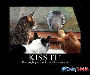 Kiss It funny picture