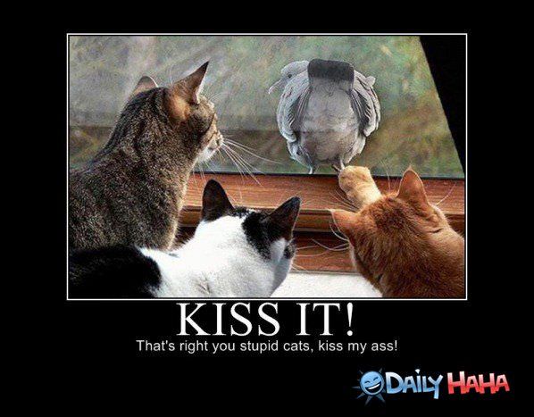 Kiss It funny picture