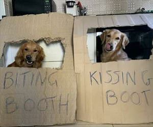 kissing booth ... 2