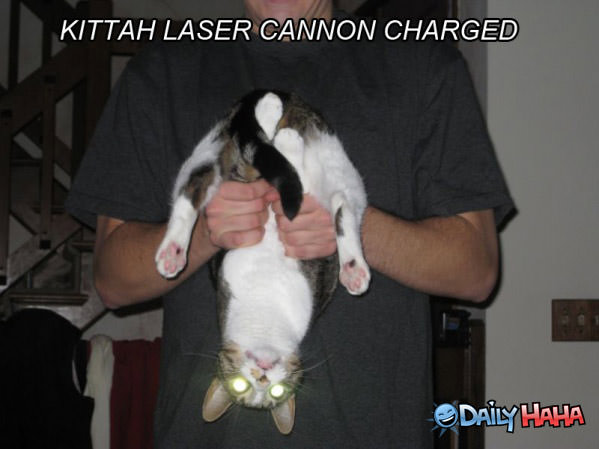 Kitteh Laser Cannon funny picture
