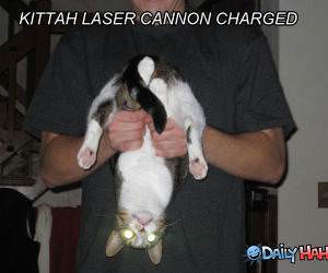 Kitteh Laser Cannon funny picture