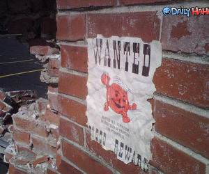 Koolaid Man is wanted