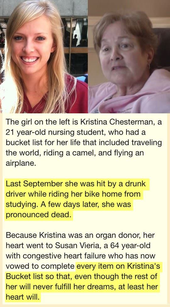 kristinas bucket list funny picture