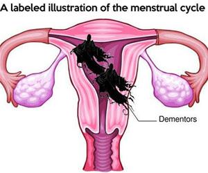 labeled illustration funny picture