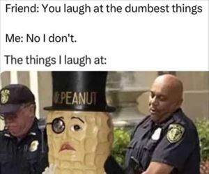 laugh at the dumbest things