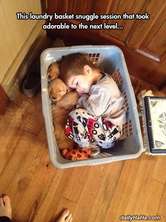 laundry basket snuggle session funny picture