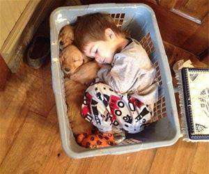 laundry basket snuggle session funny picture