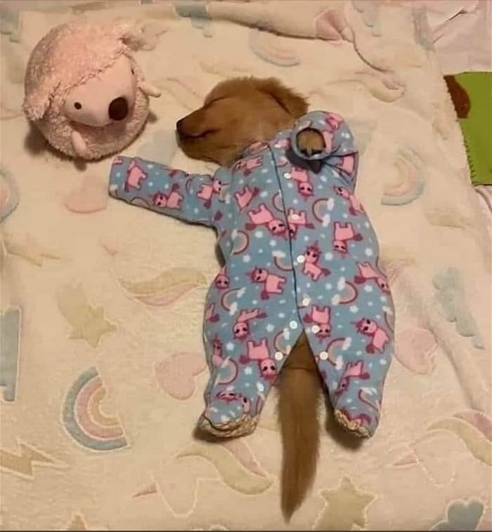 laying around chillin