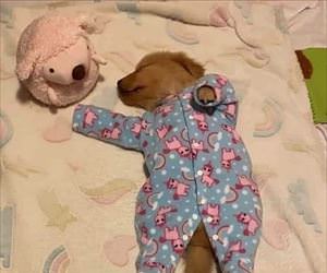 laying around chillin