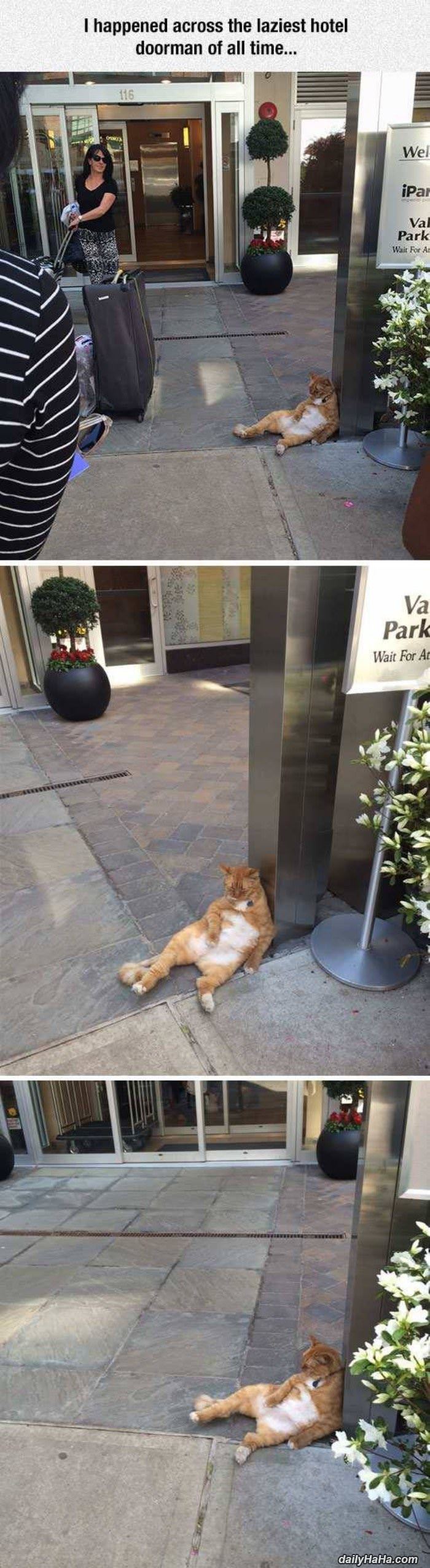 lazy doorman funny picture